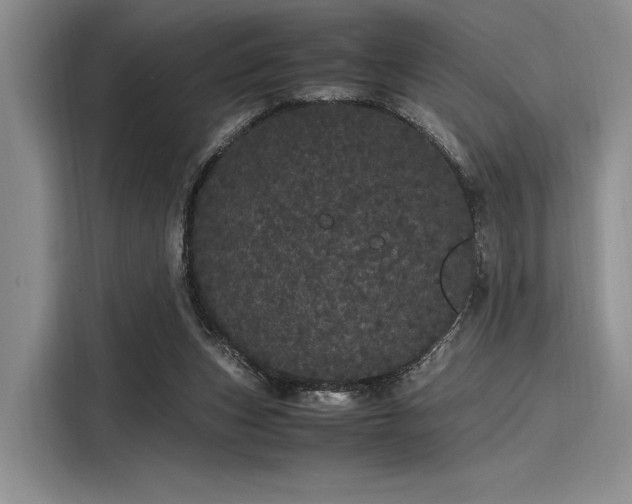 X0000116120159200911301334