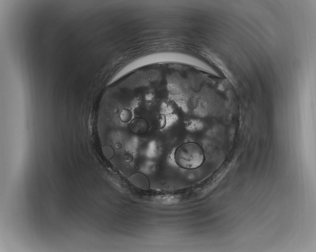 X0000116120161200911301334