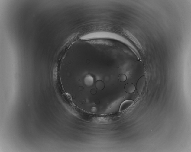 X0000116120163200911301334