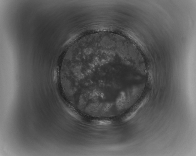 X0000116120165200911301334