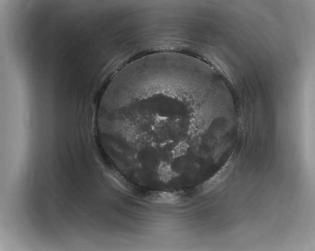 X0000116120166200911301334