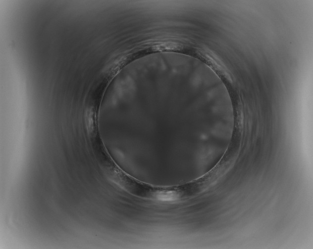 X0000116120169200911301334