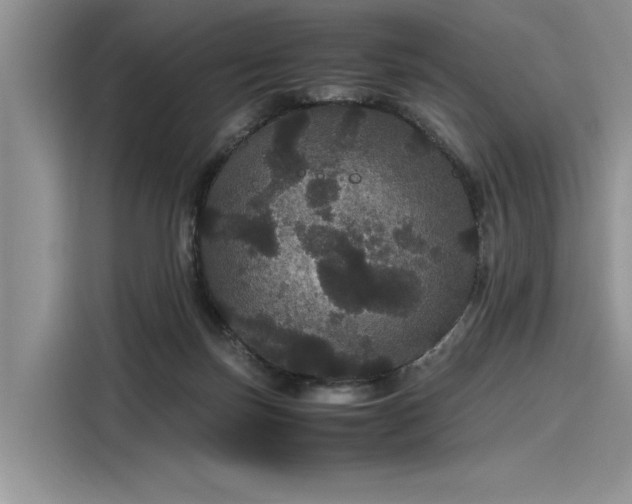 X0000116120171200911301334