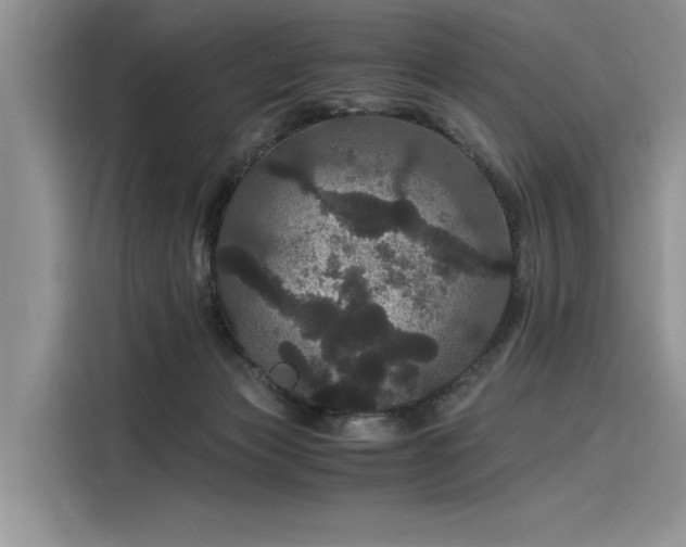 X0000116120173200911301334