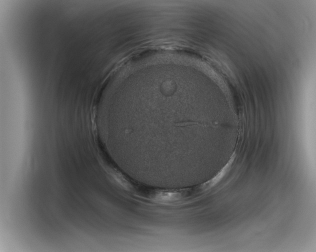 X0000116120174200911301334