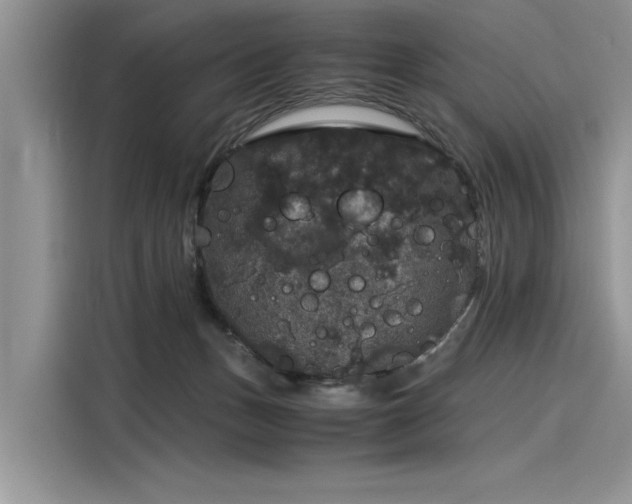 X0000116120175200911301334