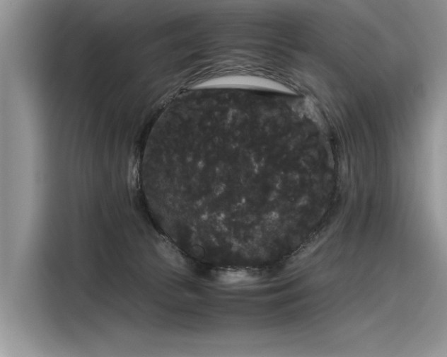 X0000116120177200911301334