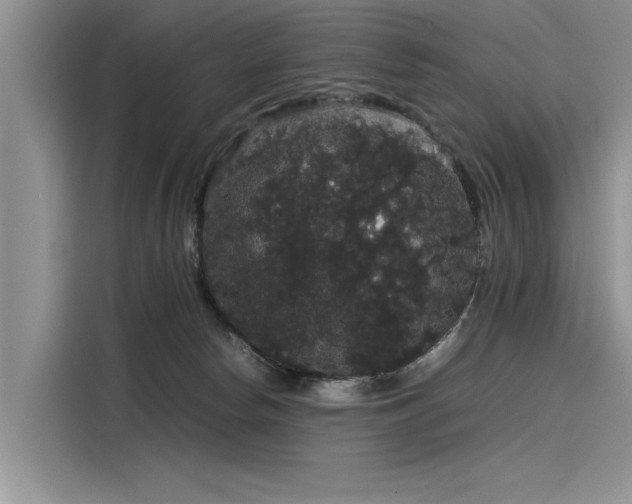 X0000116120178200911301334