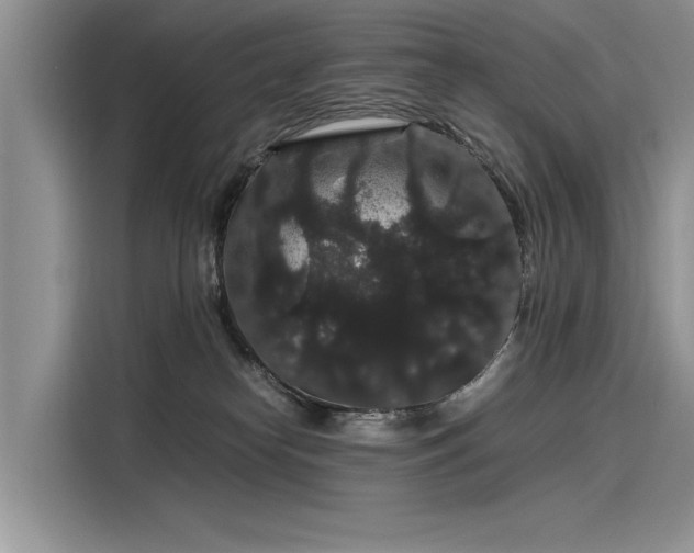 X0000116120182200911301334