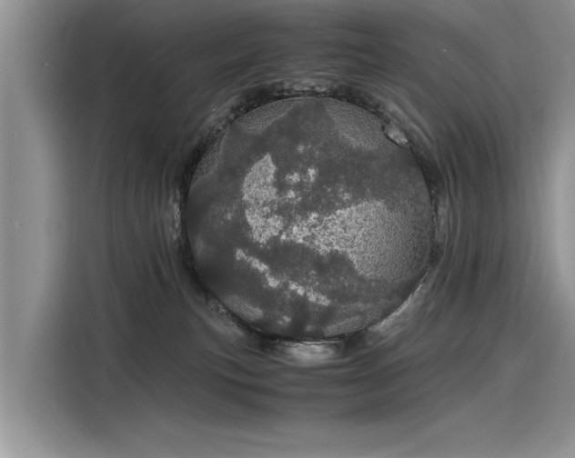 X0000116120183200911301334