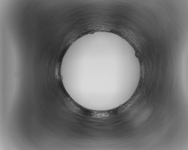 X0000116120185200911301334