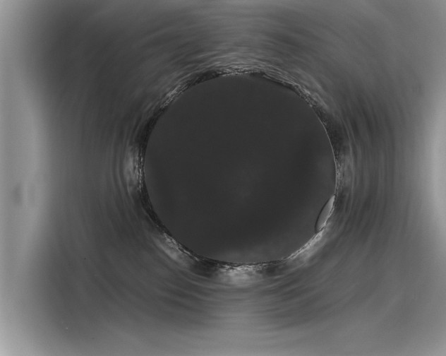 X0000116120186200911301334