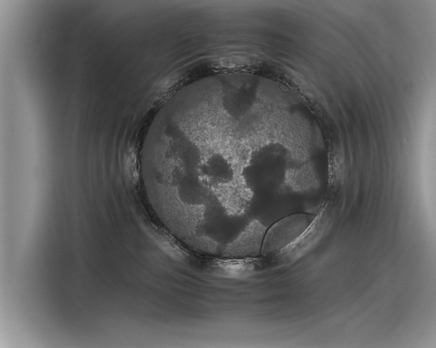 X0000116120187200911301334