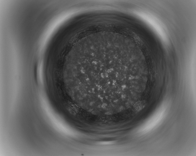 X0000116120189200911301334