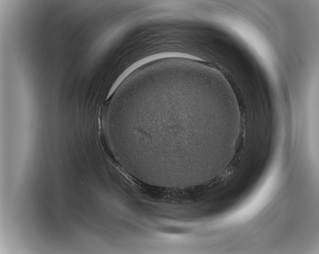 X0000116120190200911301334