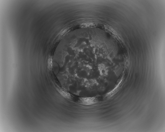 X0000116120191200911301334