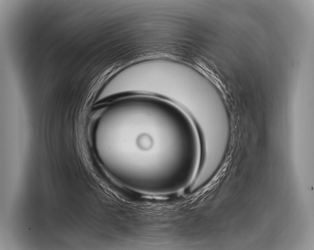 X0000116120193200911301334