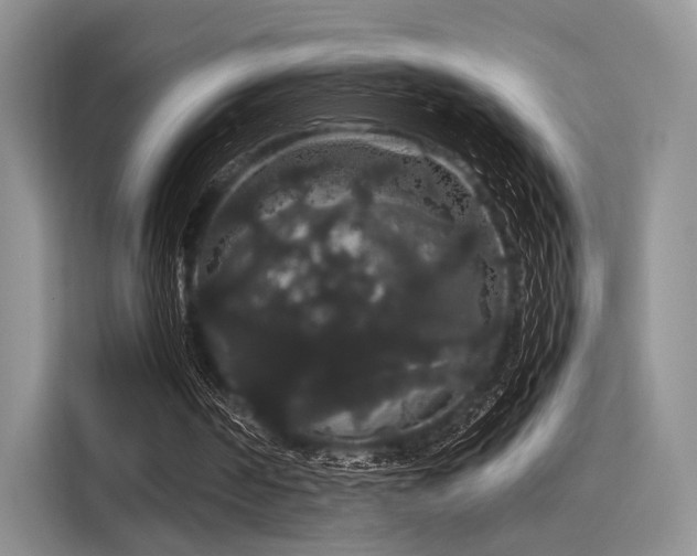 X0000116120194200911301334