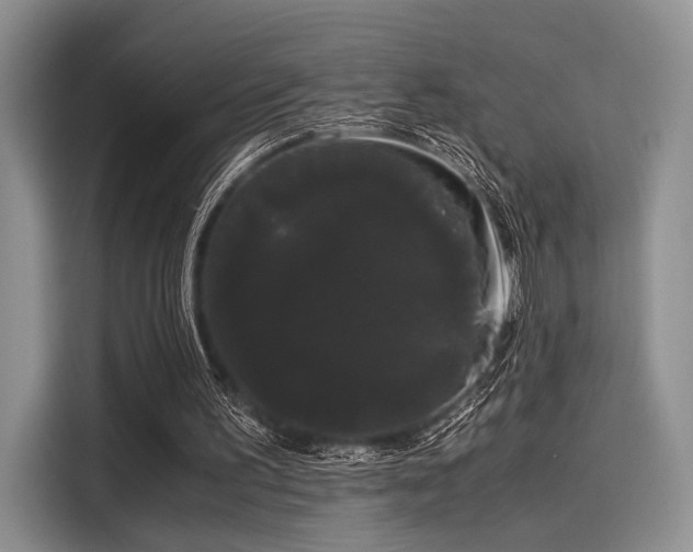 X0000116120195200911301334