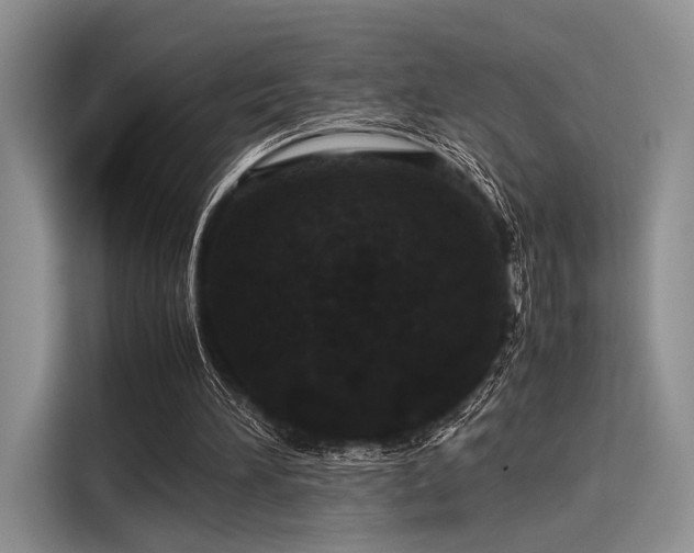 X0000116120196200911301334