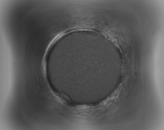 X0000116120197200911301334