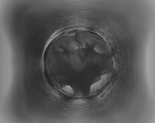 X0000116120198200911301334