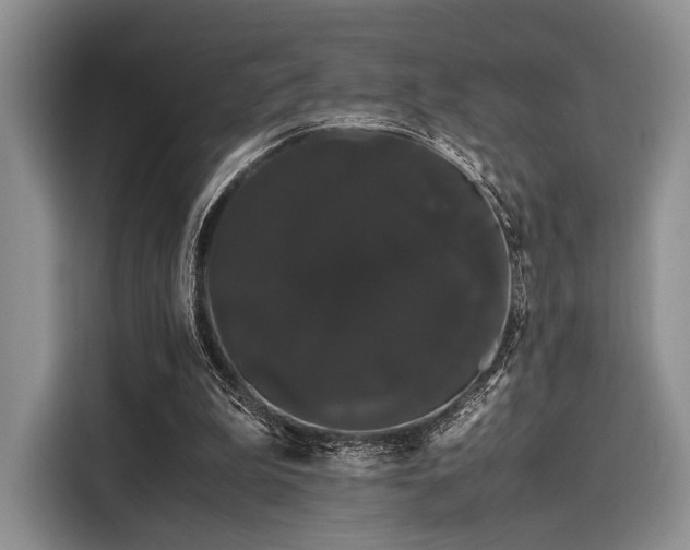 X0000116120199200911301334