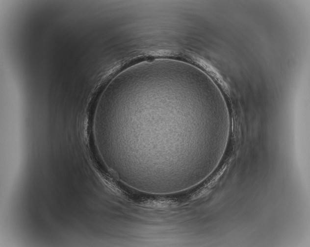 X0000116120201200911301334