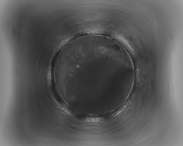 X0000116120202200911301334