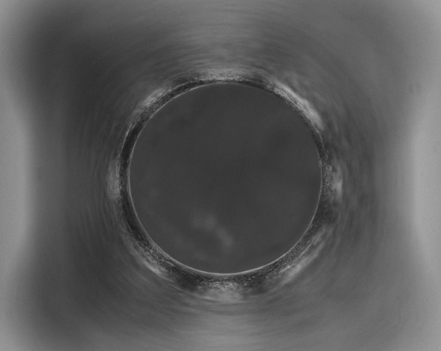 X0000116120203200911301334