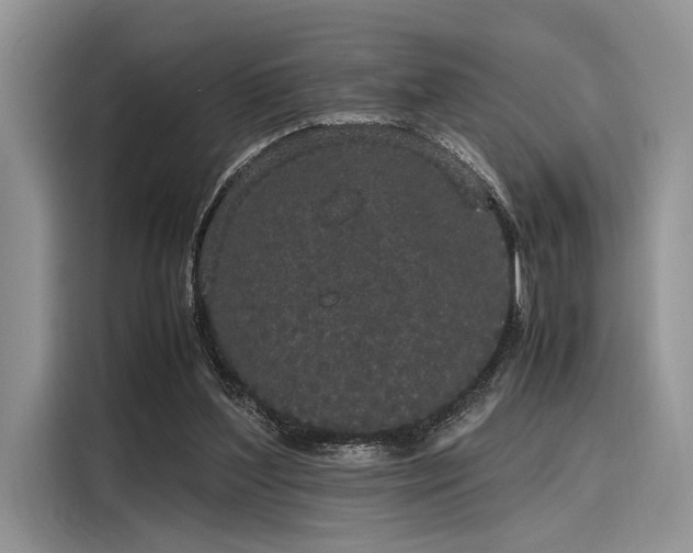 X0000116120204200911301334