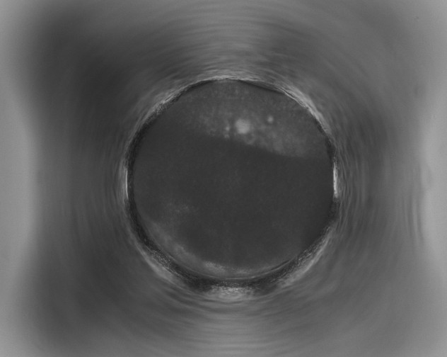 X0000116120205200911301334