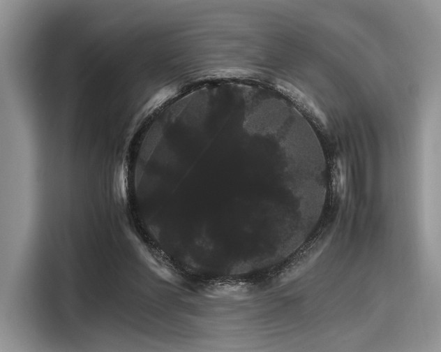 X0000116120206200911301333