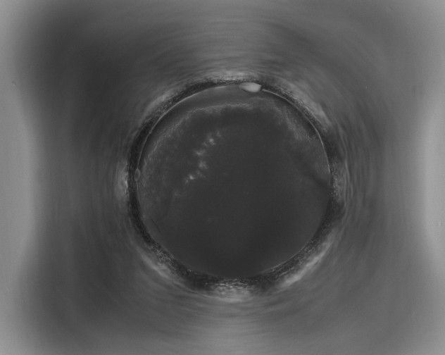 X0000116120207200911301333