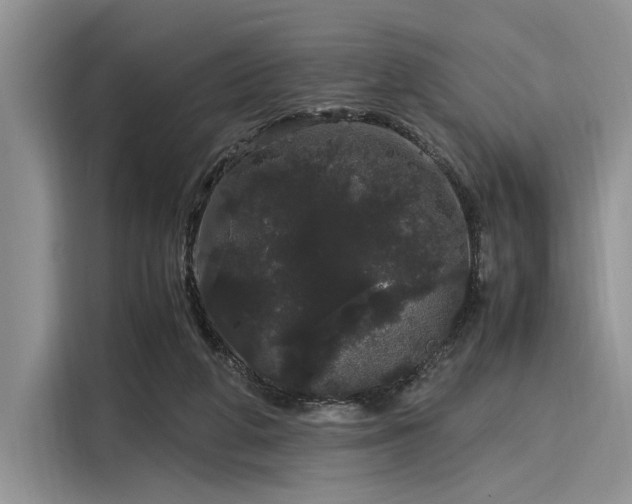 X0000116120210200911301333