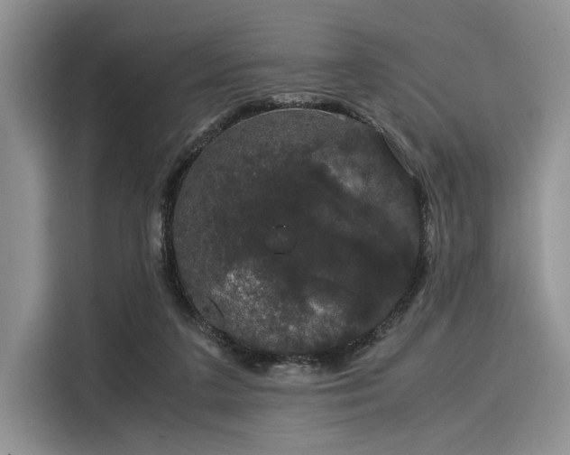 X0000116120211200911301333