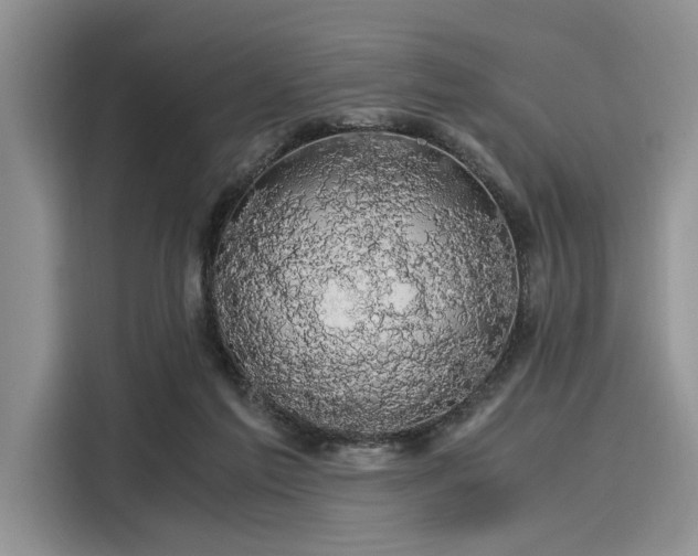 X0000116120213200911301333