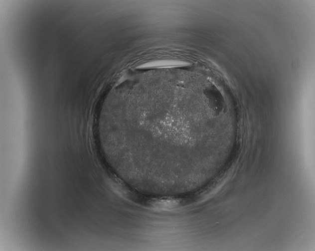 X0000116120217200911301333