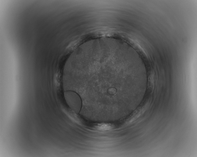 X0000116120218200911301333