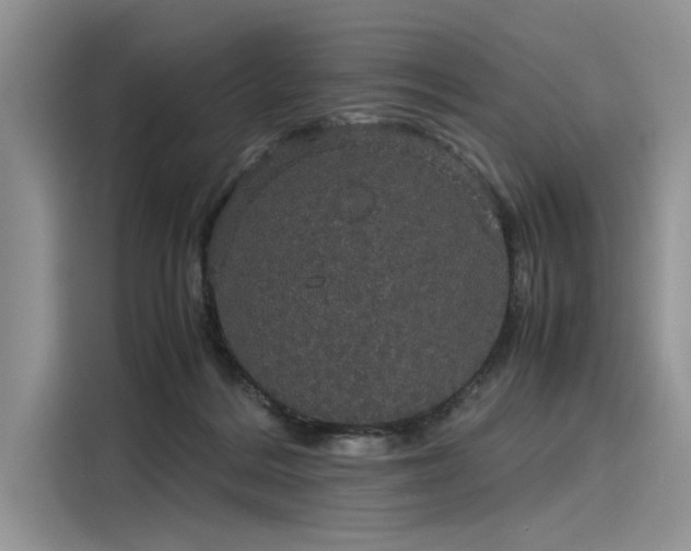 X0000116120220200911301333