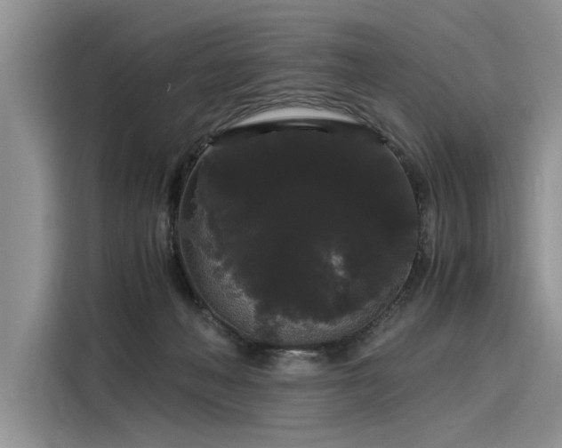 X0000116120222200911301333