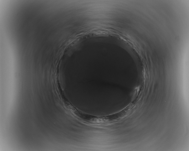 X0000116120223200911301333