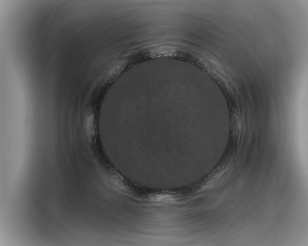 X0000116120224200911301333