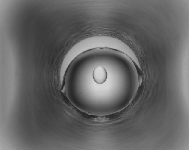 X0000116120225200911301333