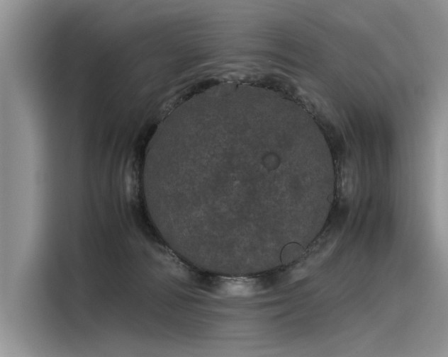 X0000116120226200911301333