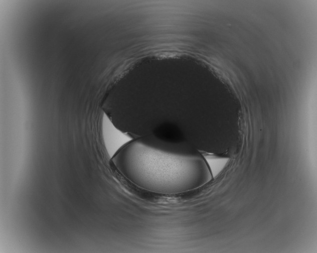 X0000116120227200911301333