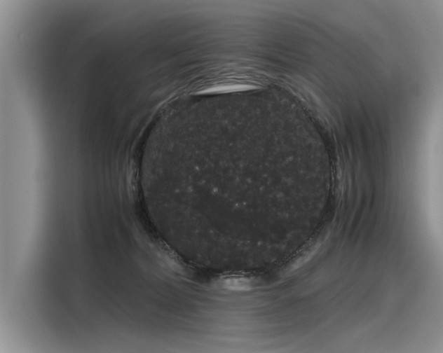 X0000116120228200911301333