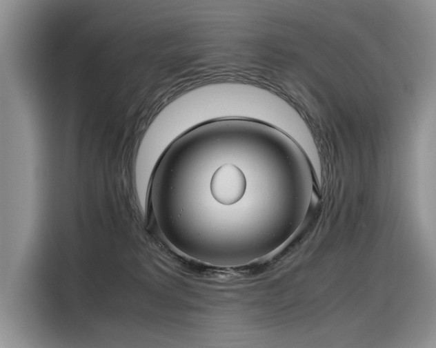 X0000116120229200911301333