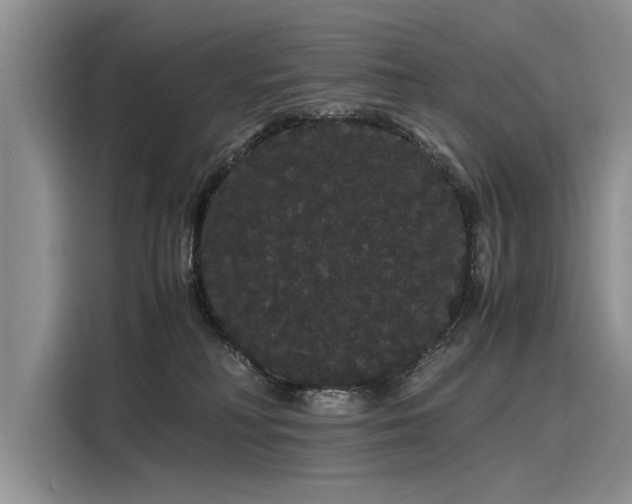 X0000116120230200911301333