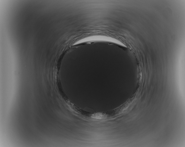 X0000116120231200911301333